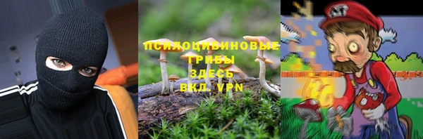 2c-b Белокуриха