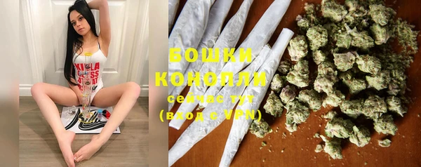 2c-b Белокуриха