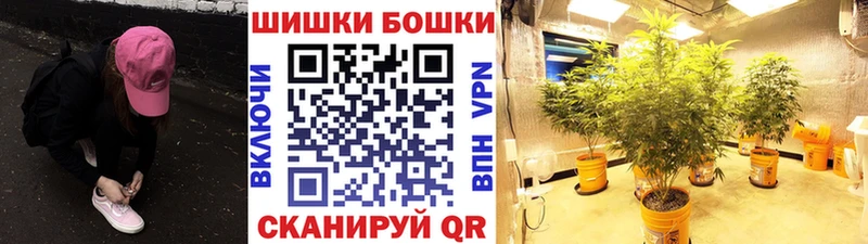 Каннабис Amnesia Черепаново